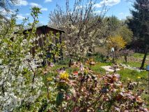 Działka rod Lublin. Zdjęcie 3