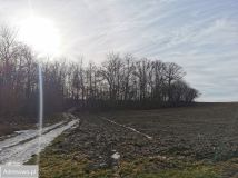 Działka rolna Węgrów. Zdjęcie 1