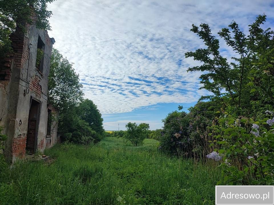 Działka siedliskowa Grzęda. Zdjęcie 4