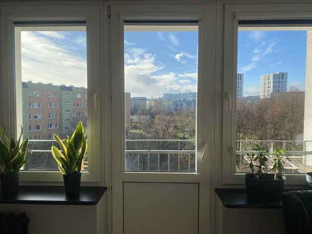 Mieszkanie 2-pokojowe Gdańsk Zaspa, ul. Dywizjonu 303. Zdjęcie 5