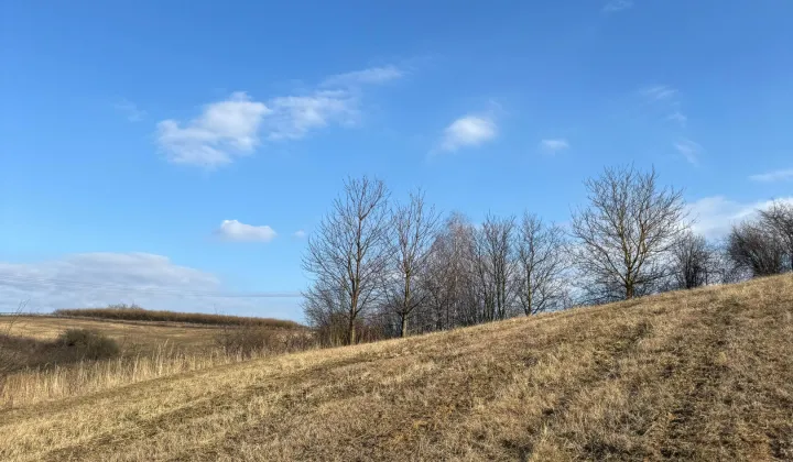 Działka budowlana Rzeczyca Mokra