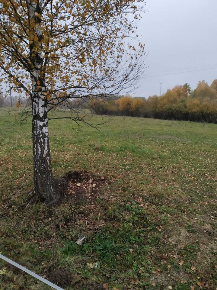 Działka rolno-budowlana Kolonia Przerośl. Zdjęcie 2