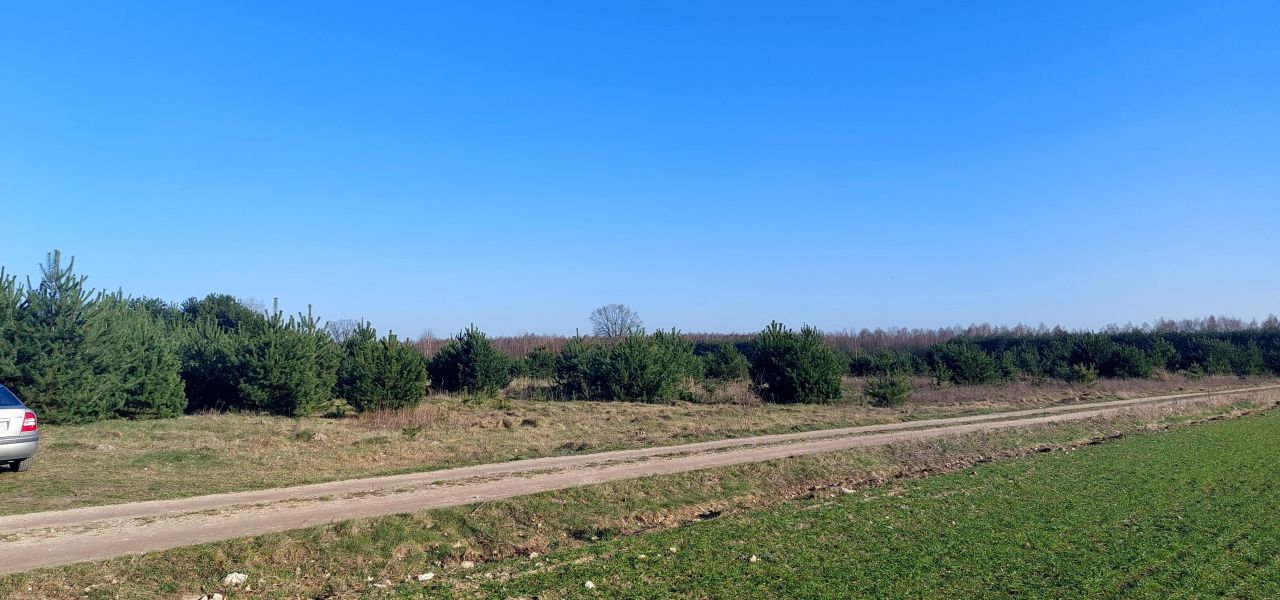 Działka budowlana Cegielnia Psucka. Zdjęcie 2