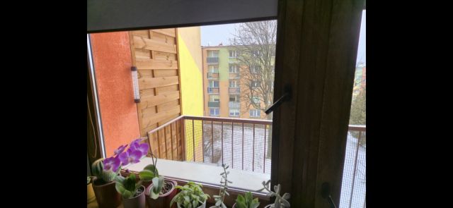 Mieszkanie 2-pokojowe Wałbrzych Piaskowa Góra, ul. Ksawerego Dunikowskiego. Zdjęcie 13