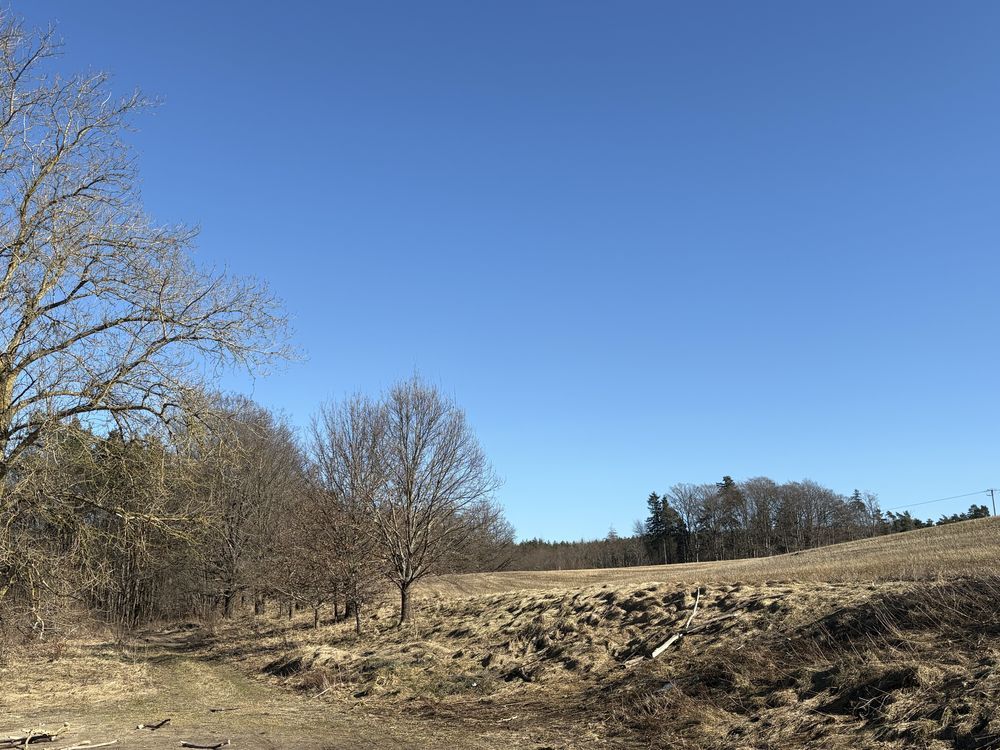 Działka budowlana Wrzeście. Zdjęcie 1