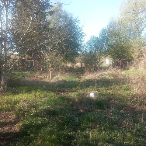 Działka rolno-budowlana Sosnowiec Feliks, Felix. Zdjęcie 1