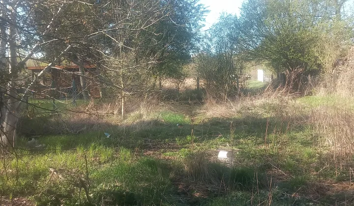 Działka rolno-budowlana Sosnowiec Feliks, Felix