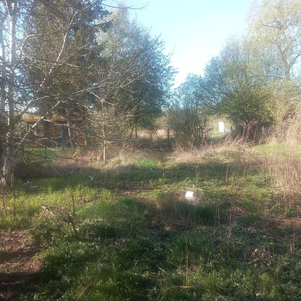 Działka rolno-budowlana Sosnowiec Feliks, Felix. Zdjęcie 1