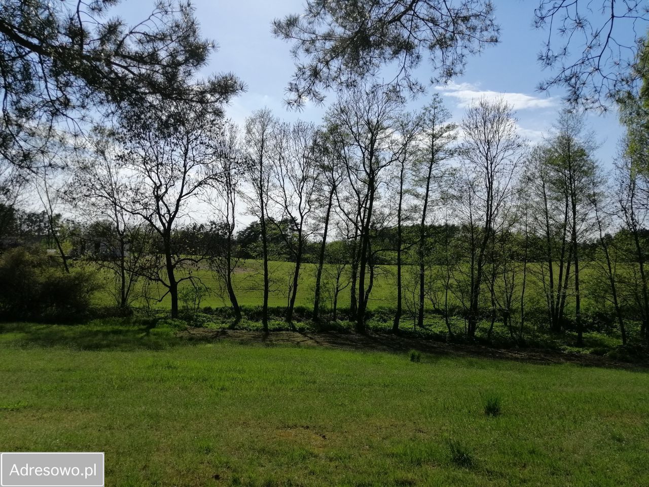 Działka budowlana Chrzypsko Małe. Zdjęcie 8