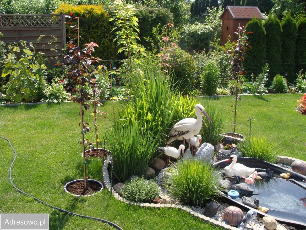 Działka rod Poznań Jeżyce, ul. Bukowska. Zdjęcie 13