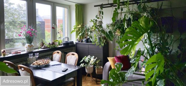 Mieszkanie 4-pokojowe Warszawa Ochota, ul. Daleka. Zdjęcie 1