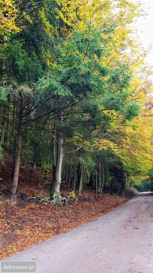 Działka budowlana Rumia Szmelta, ul. św. Józefa. Zdjęcie 5