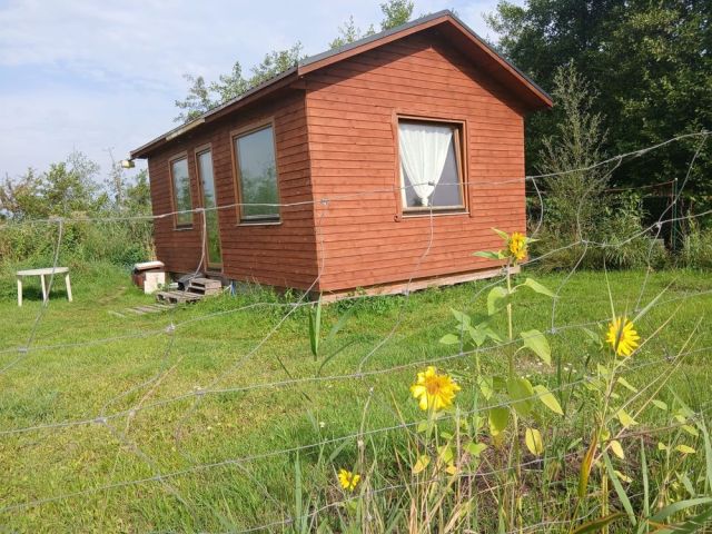 Działka rolna Zastań. Zdjęcie 1