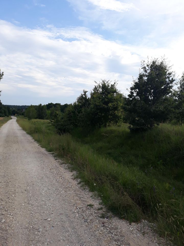 Działka rolno-budowlana Rzeczków. Zdjęcie 5