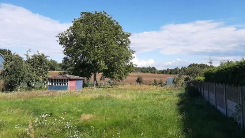 Działka rolno-budowlana Paruszka. Zdjęcie 6