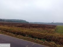 Działka budowlana Kamieńczyk. Zdjęcie 1