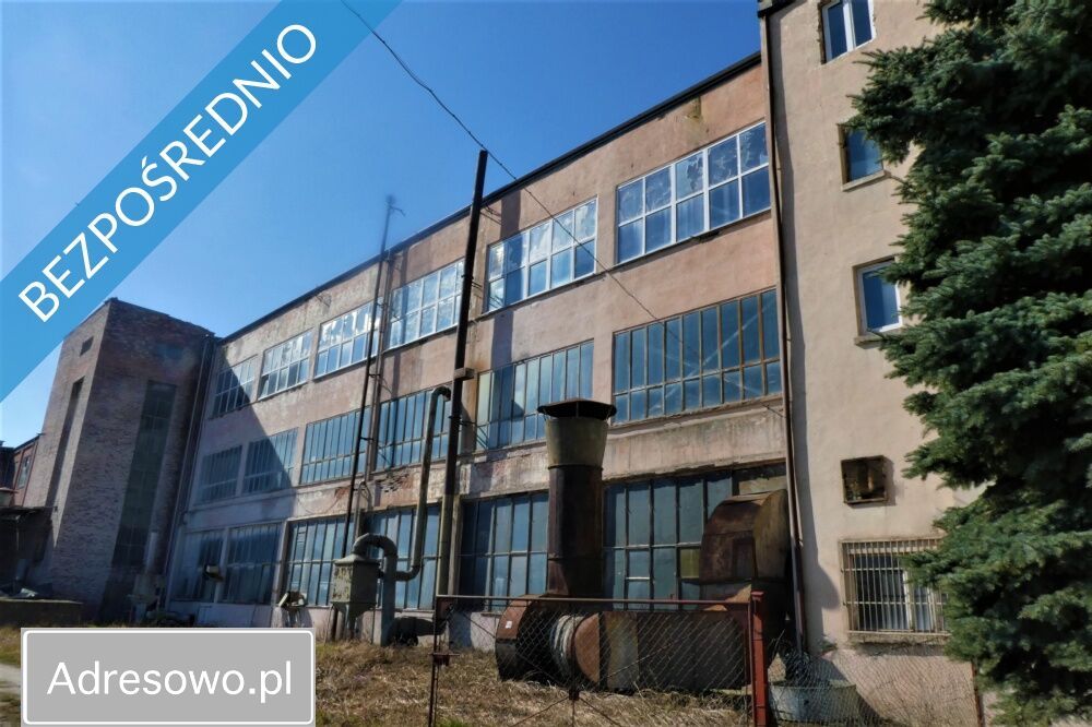 Hala/magazyn Ciechów. Zdjęcie 5