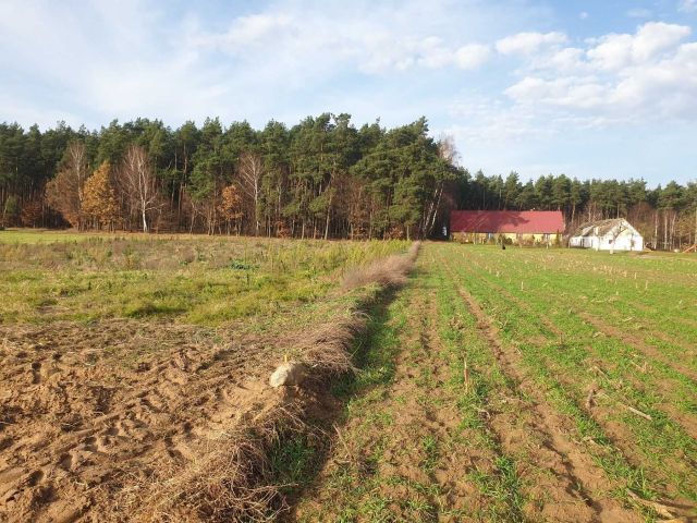 Działka budowlana Radziki Duże. Zdjęcie 1