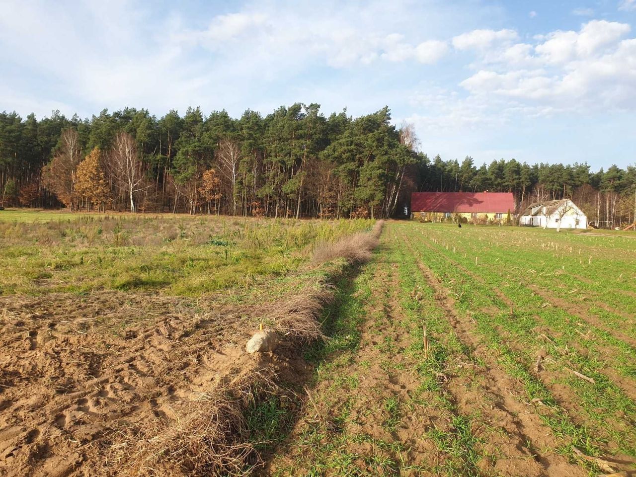 Działka budowlana Radziki Duże