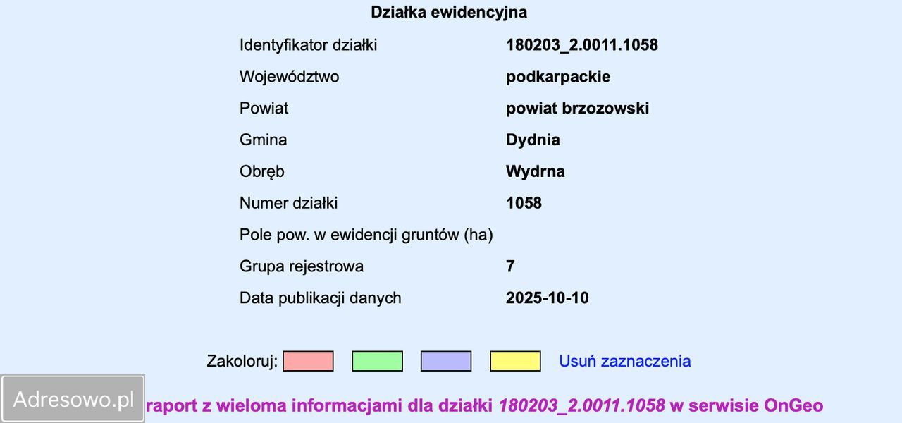 Działka rolna Dydnia. Zdjęcie 3