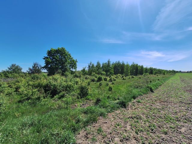 Działka rolno-budowlana Kroczewo. Zdjęcie 1