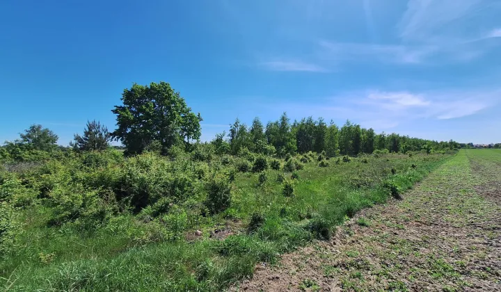 Działka rolno-budowlana Kroczewo