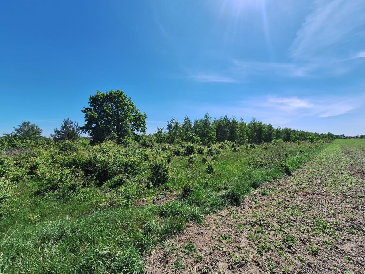 Działka rolno-budowlana Kroczewo