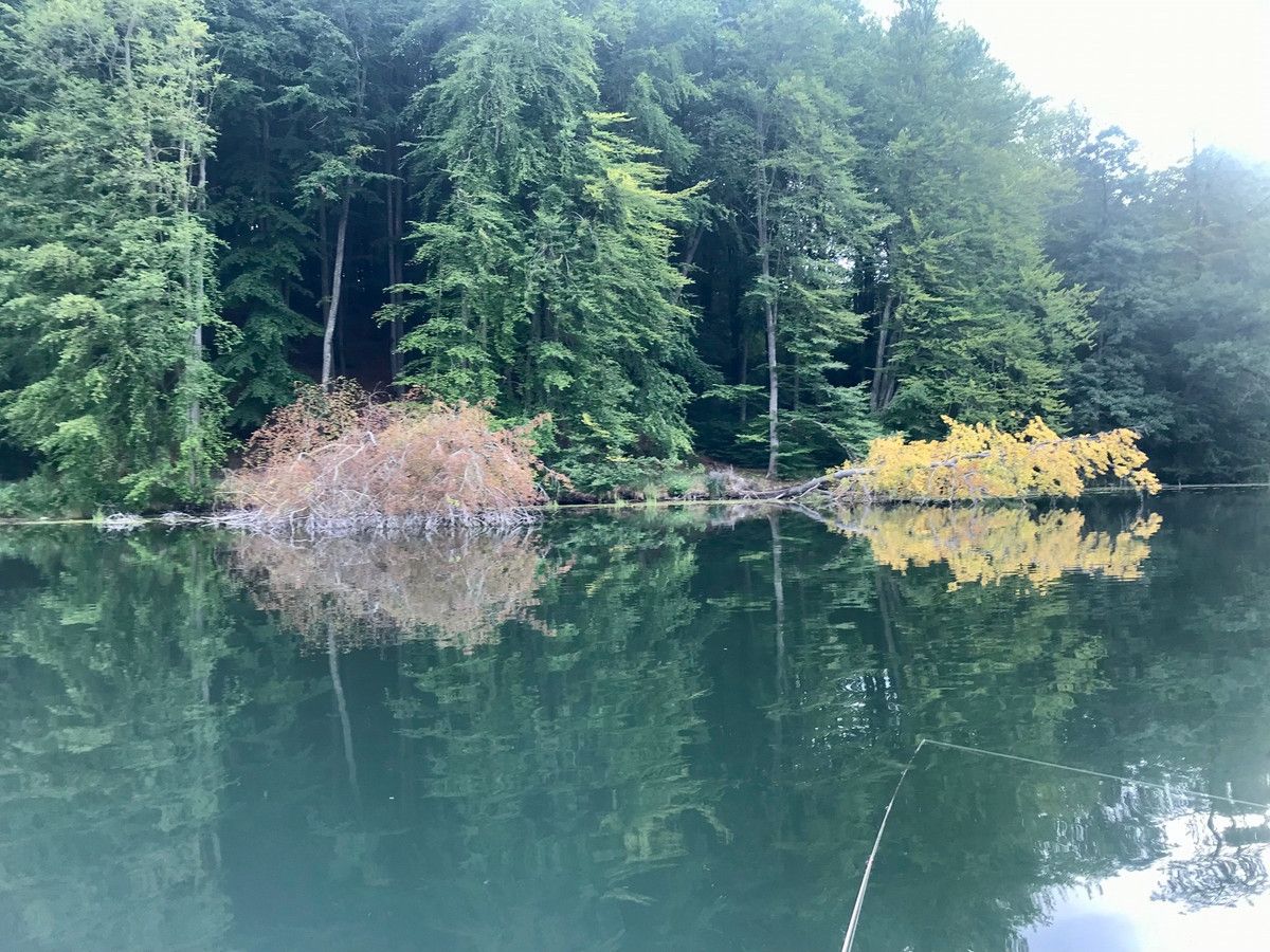 Działka budowlana Pławno. Zdjęcie 3