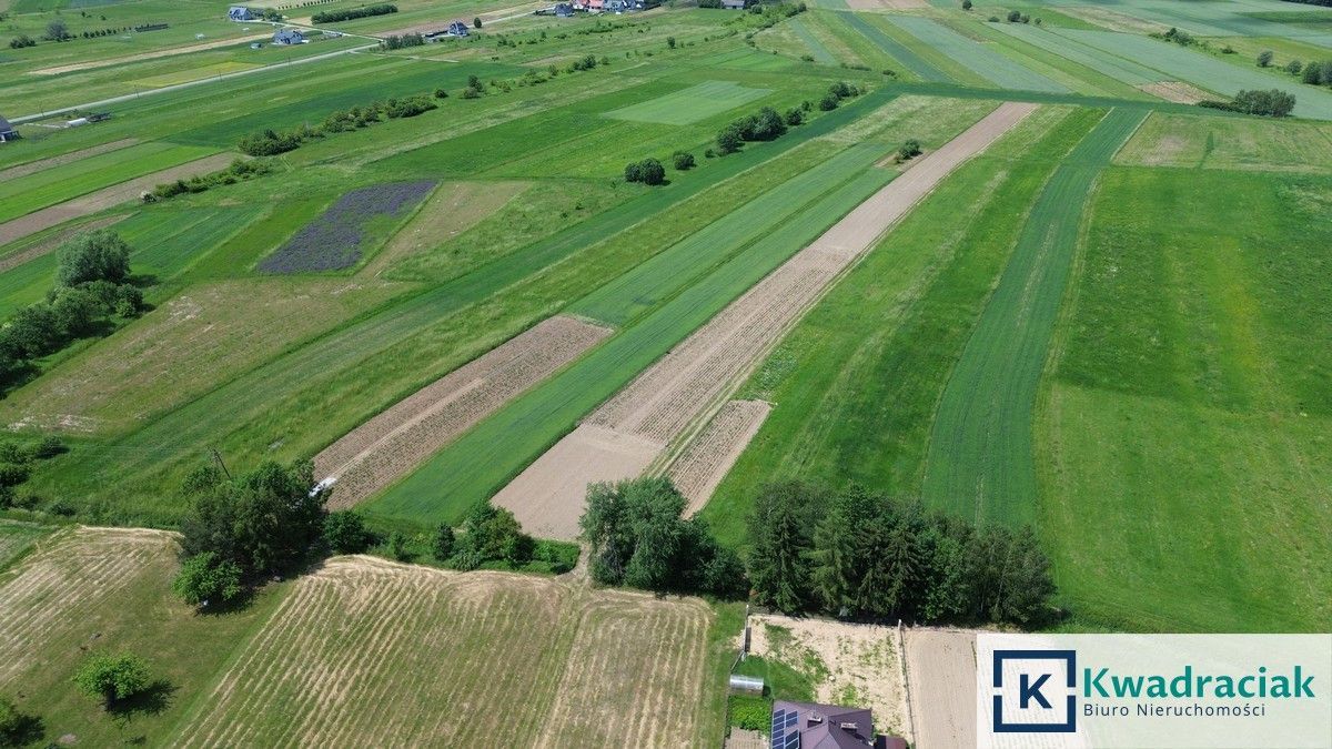 Działka inwestycyjna Kłodawa. Zdjęcie 13