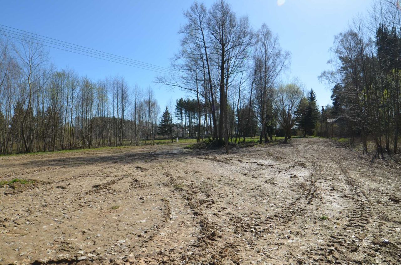 Działka rolno-budowlana Kaleń. Zdjęcie 5