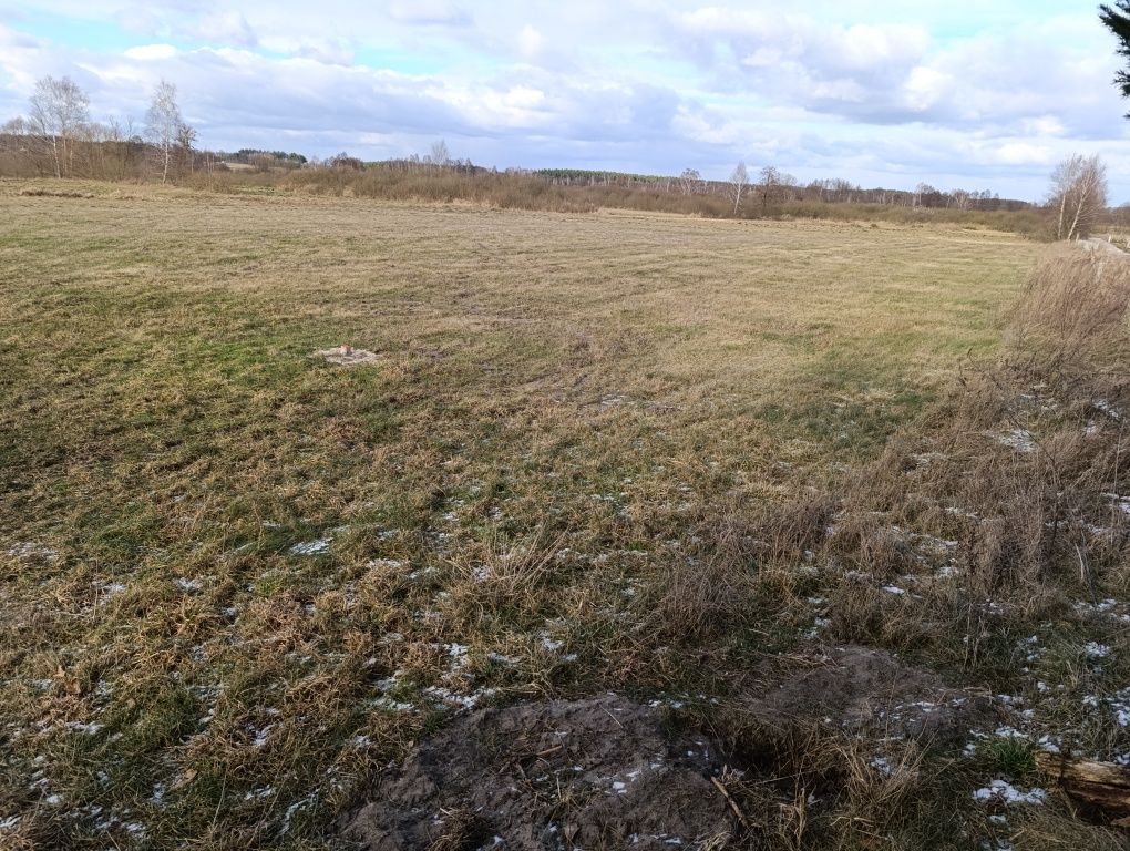 Działka budowlana Jeziorki. Zdjęcie 2