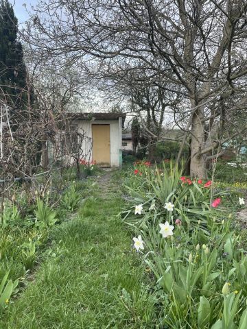 Działka rekreacyjna Pyskowice. Zdjęcie 1