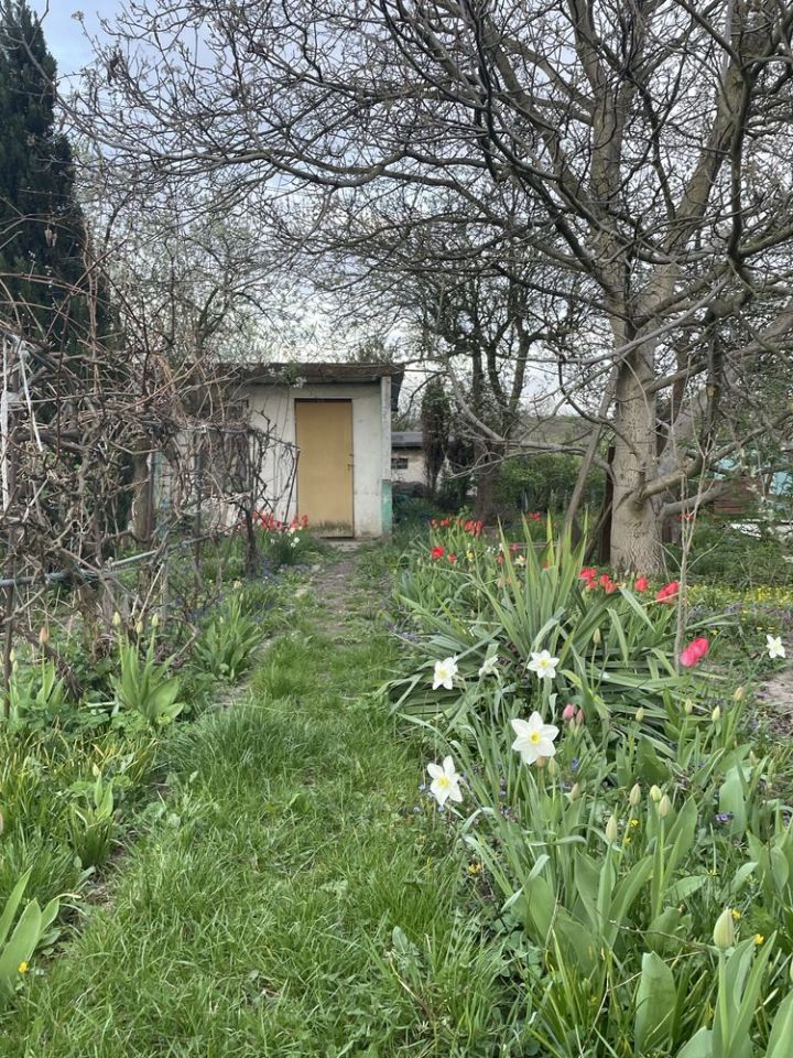 Działka rekreacyjna Pyskowice