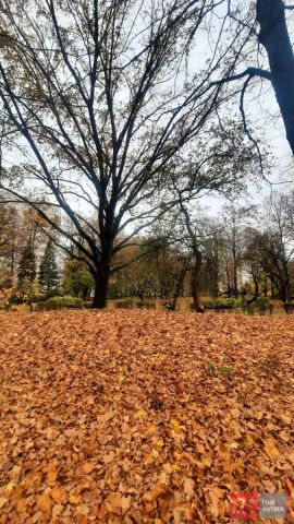 Mieszkanie 1-pokojowe Warszawa Żoliborz, ul. Włościańska. Zdjęcie 13