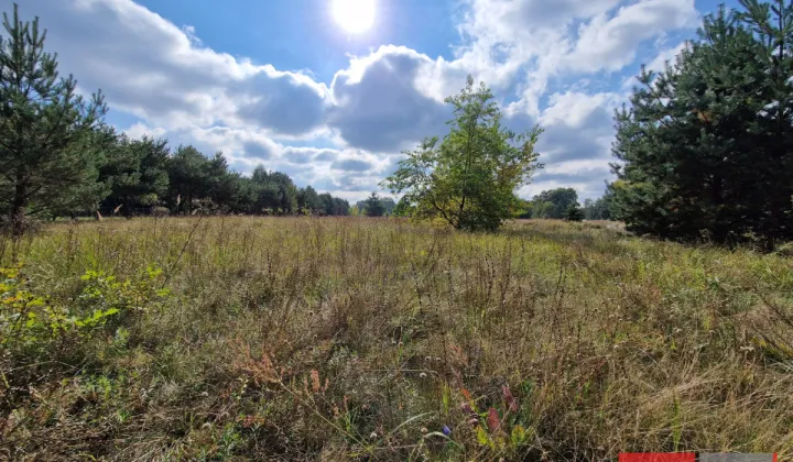 Działka rekreacyjna Sikory, ul. Brzozowa