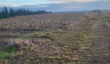 Działka budowlana Jeżowa, ul. Asfaltowa