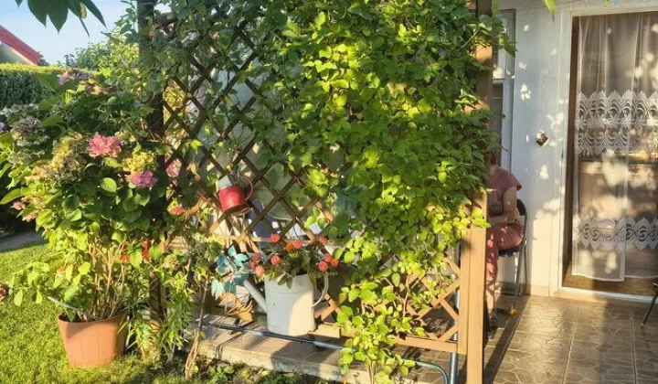 Działka rod Konin, ul. Solna