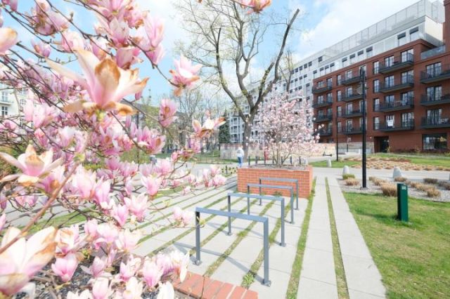 Mieszkanie 2-pokojowe Wrocław Stare Miasto, pl. Jana Pawła II. Zdjęcie 2