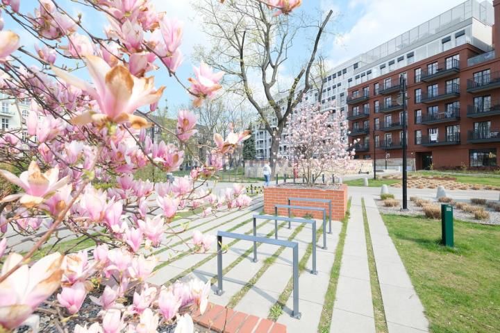 Mieszkanie 2-pokojowe Wrocław Stare Miasto, pl. Jana Pawła II. Zdjęcie 2