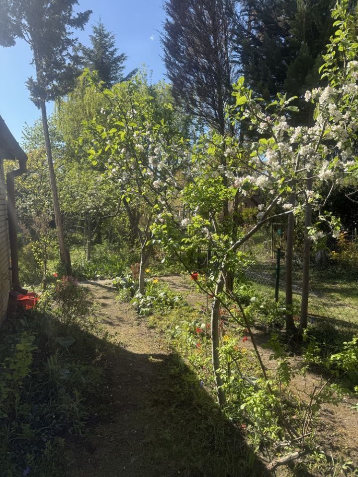 Działka rod Warszawa Bemowo. Zdjęcie 5
