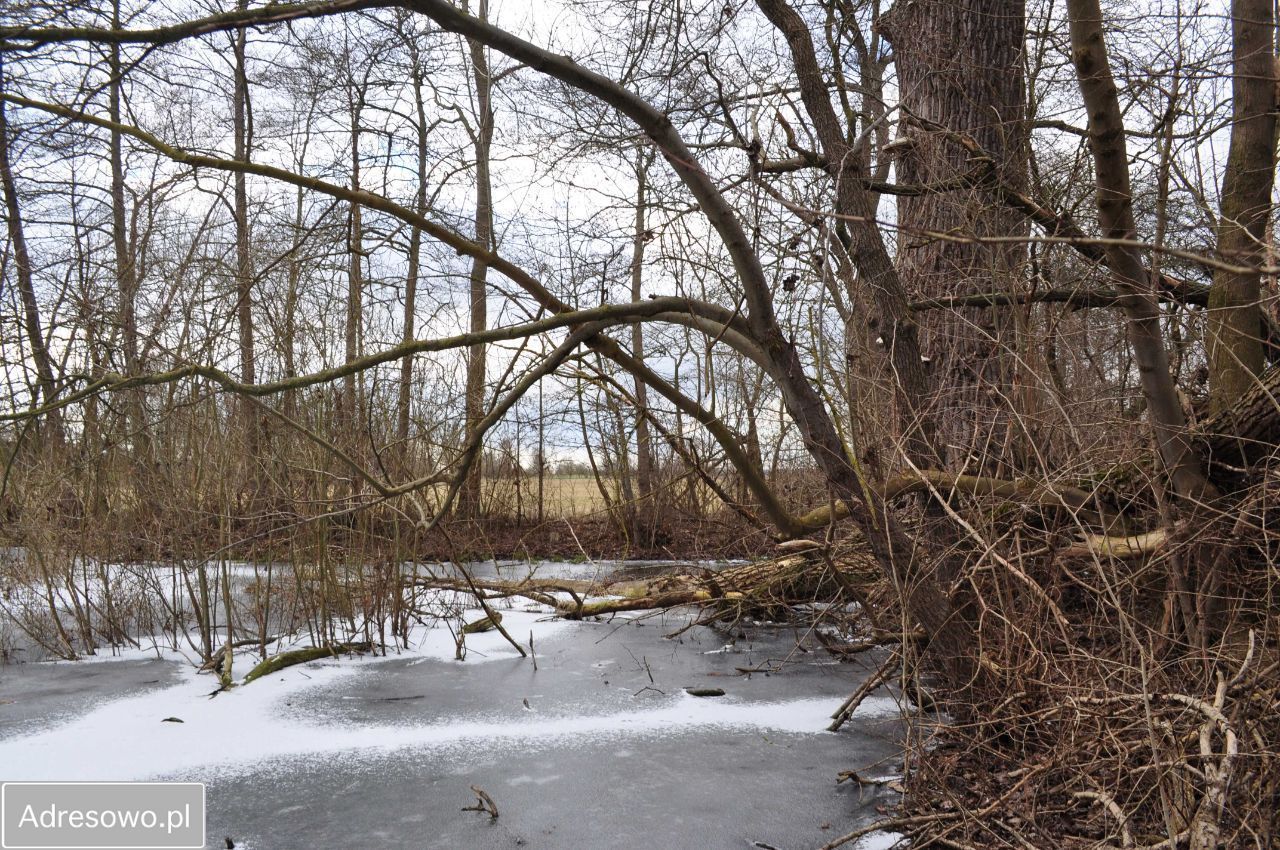 Działka siedliskowa Stare Chrapowo. Zdjęcie 2