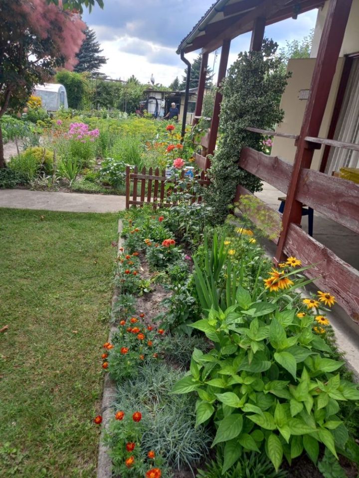 Działka rod Skierniewice. Zdjęcie 6