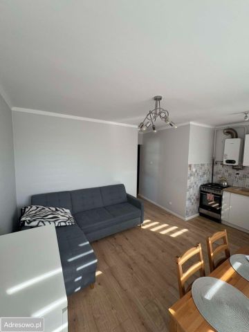 Mieszkanie 2-pokojowe Mława Centrum. Zdjęcie 1