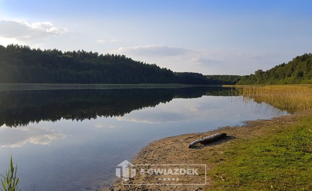 Działka rolna Czochryń. Zdjęcie 13