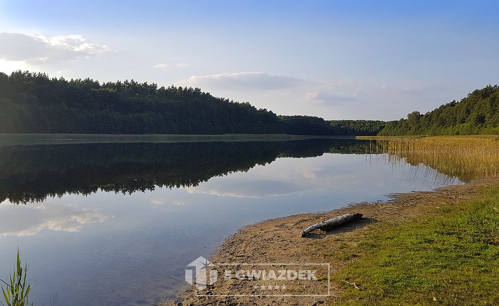 Działka siedliskowa Czochryń. Zdjęcie 12