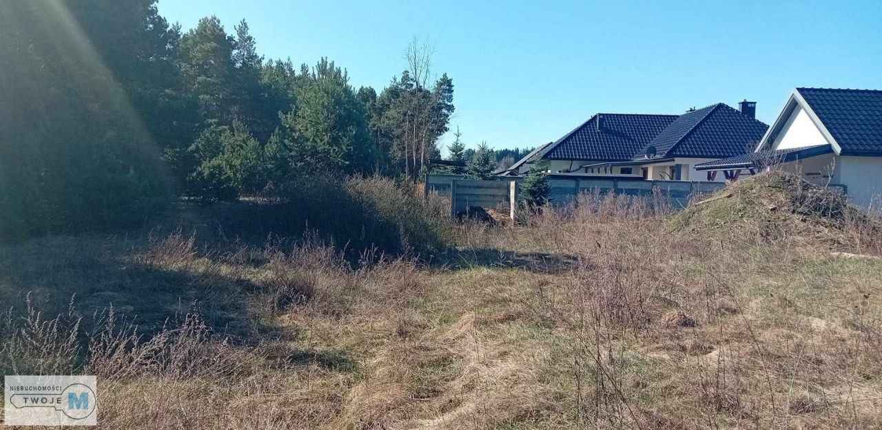 Działka leśna Morawica. Zdjęcie 5