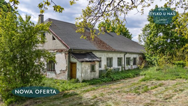 Lokal Kalinowa. Zdjęcie 12