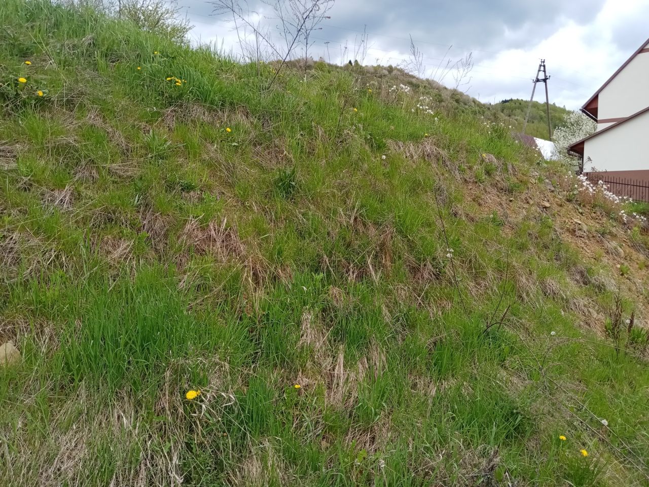 Działka budowlana Muszyna Wapienne, ul. Leśna. Zdjęcie 7