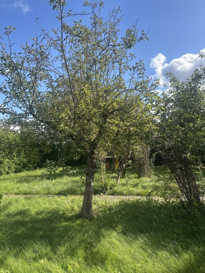 Działka rod Działdowo, ul. Polna. Zdjęcie 2