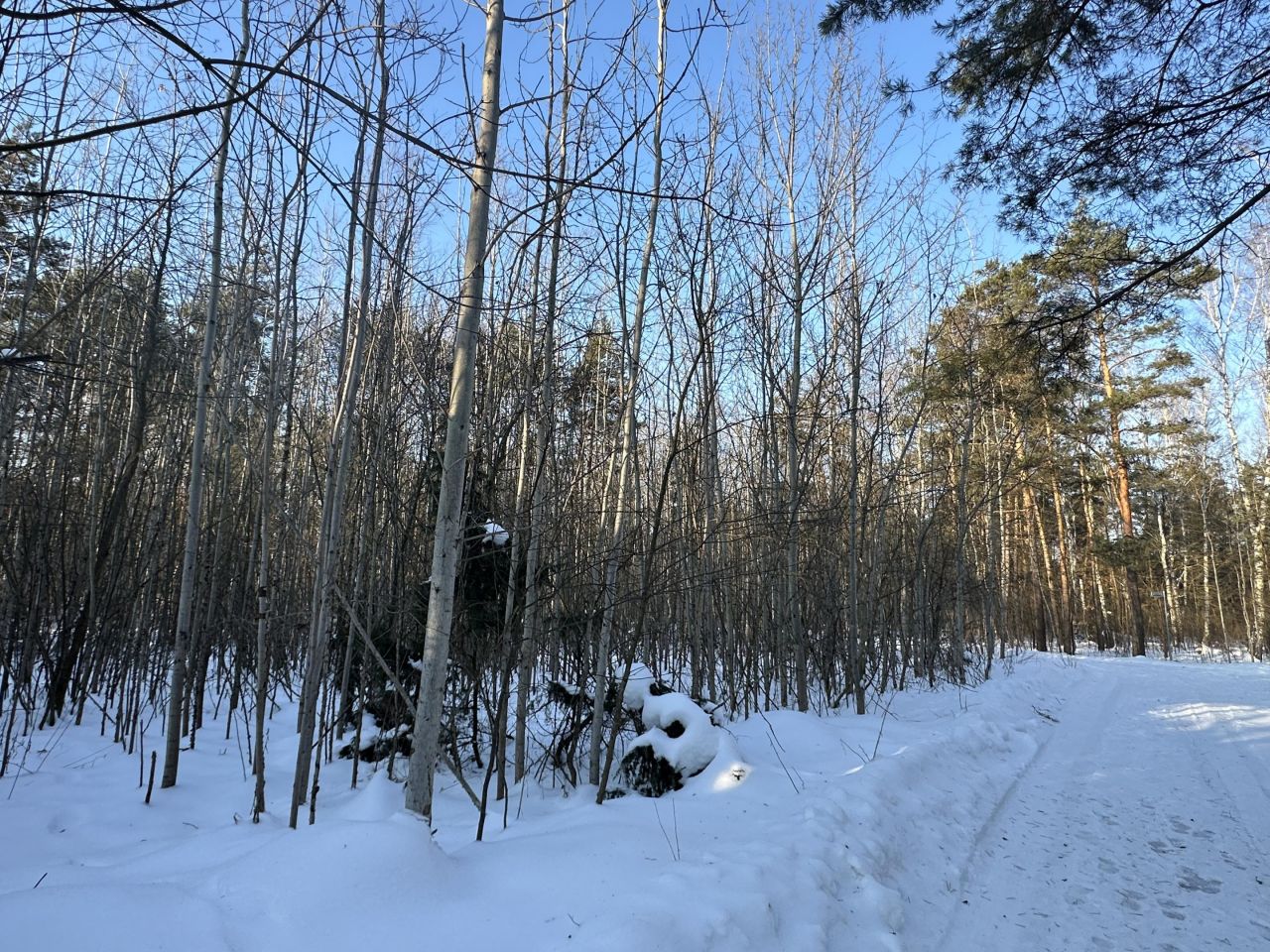 Działka budowlana Nowe Grobice, ul. Graniczna. Zdjęcie 6